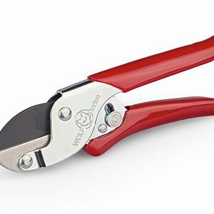 CLASSIC ECONOMY ANVIL SHEAR