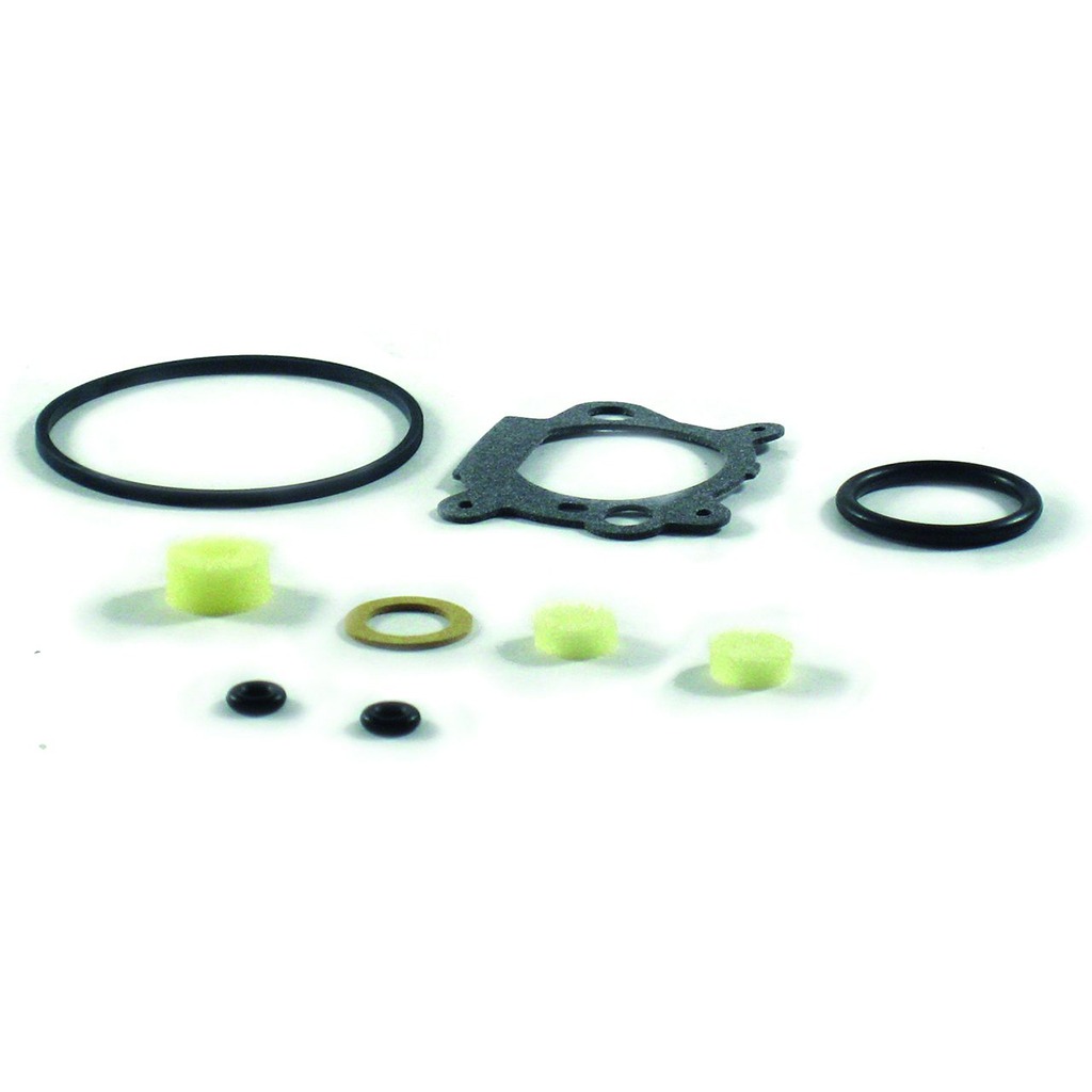BRIGGS & STRATTON QUANTUM CARBURETTOR KIT