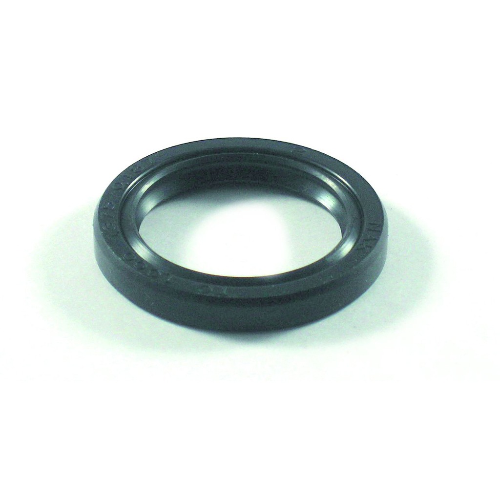 BRIGGS & STRATTON MAGNETO TOP SEAL SUITS 6HP 7HP & 8HP